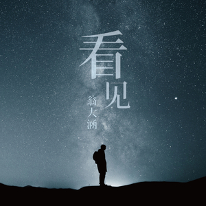 梁朝伟汤唯国外版
