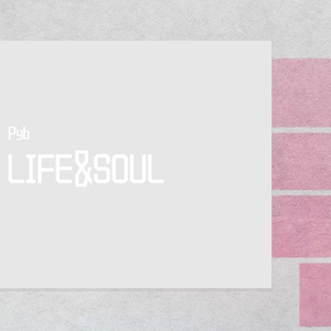 梁朝伟汤唯国外版
